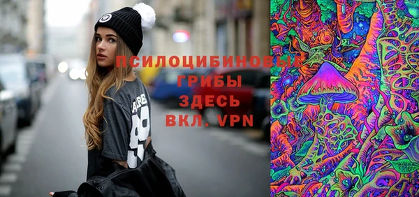 герыч Алексин