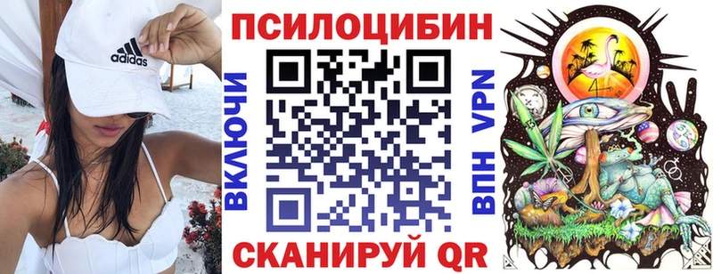 цены Игарка Галлюциногенные грибы GOLDEN TEACHER